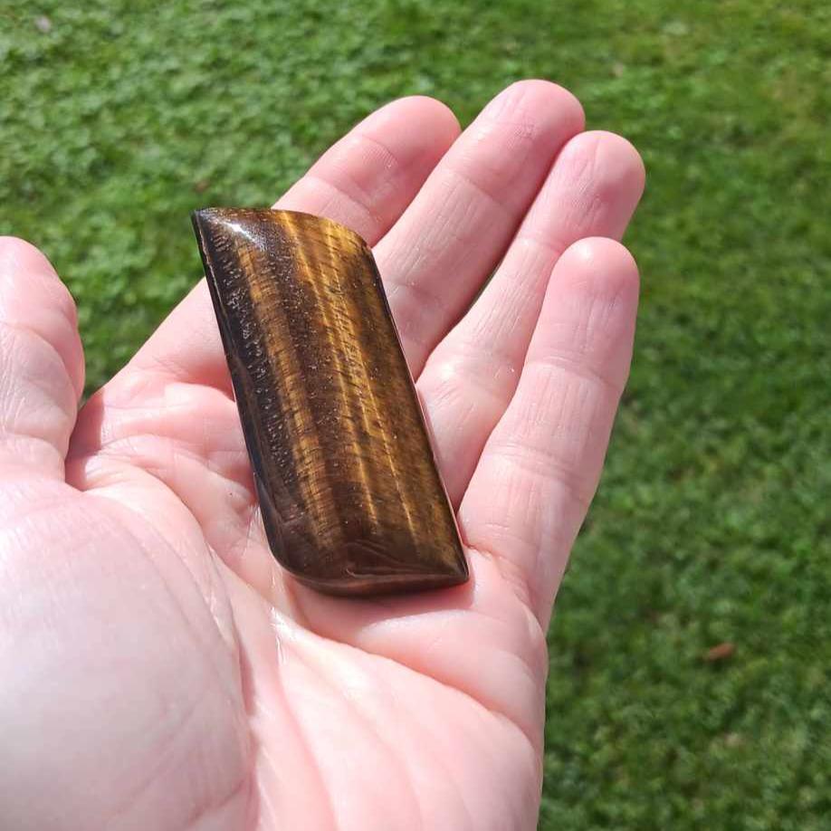 Carving: Tigers Eye Palm Stone 3 Inches