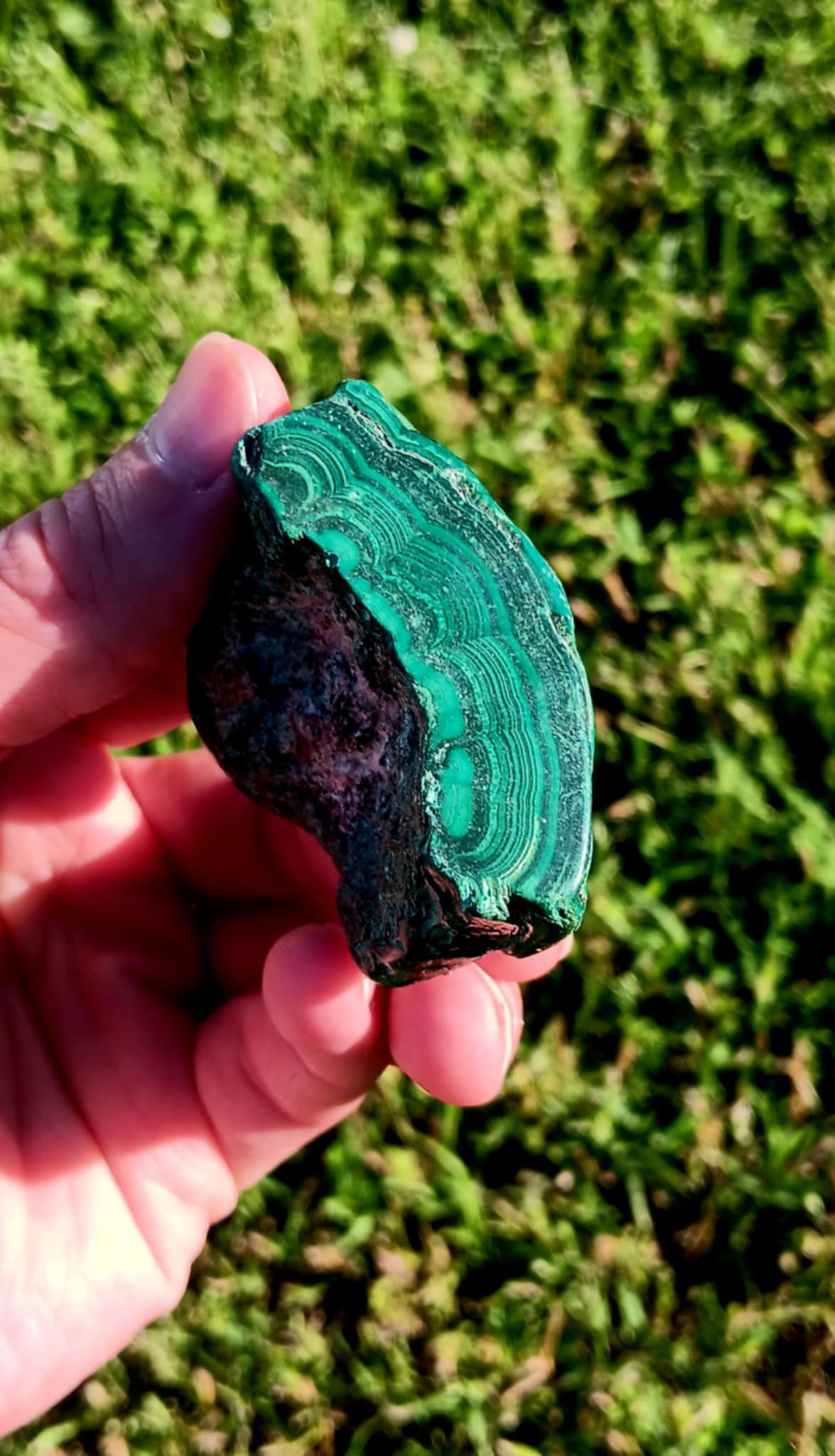 Brand New Freeform/Carving: Malachite Raw with Banding