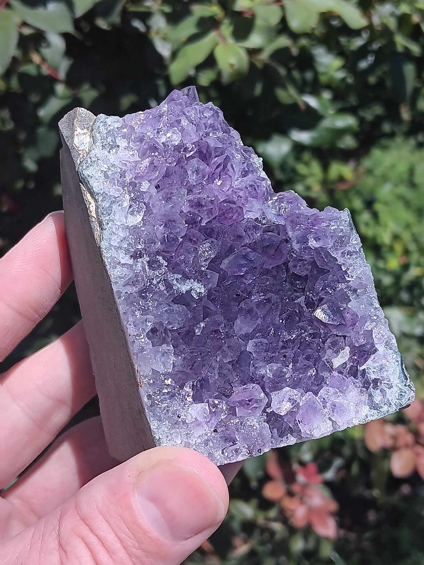 Amethyst Large Free Standing Cluster