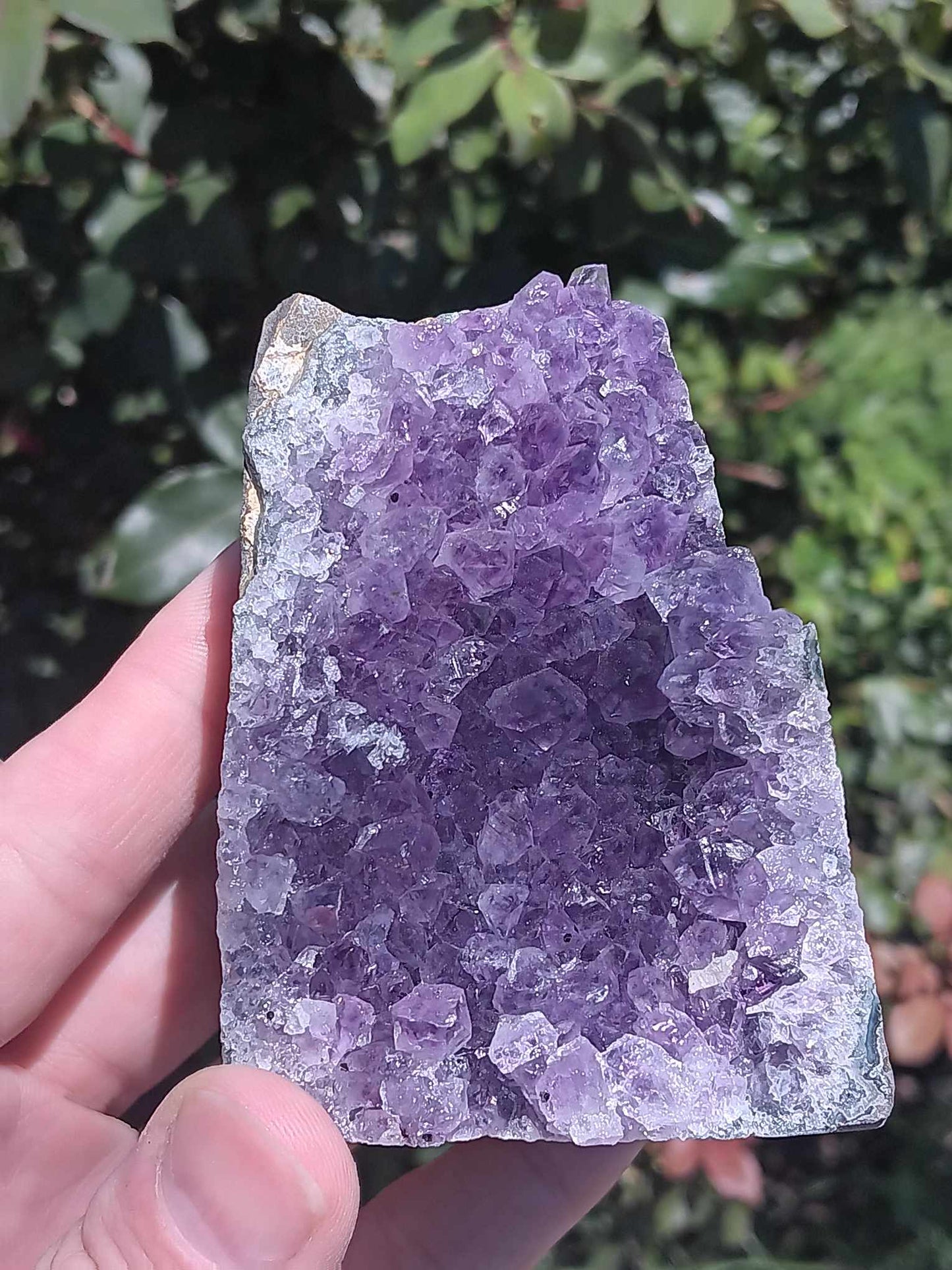 Amethyst Large Free Standing Cluster