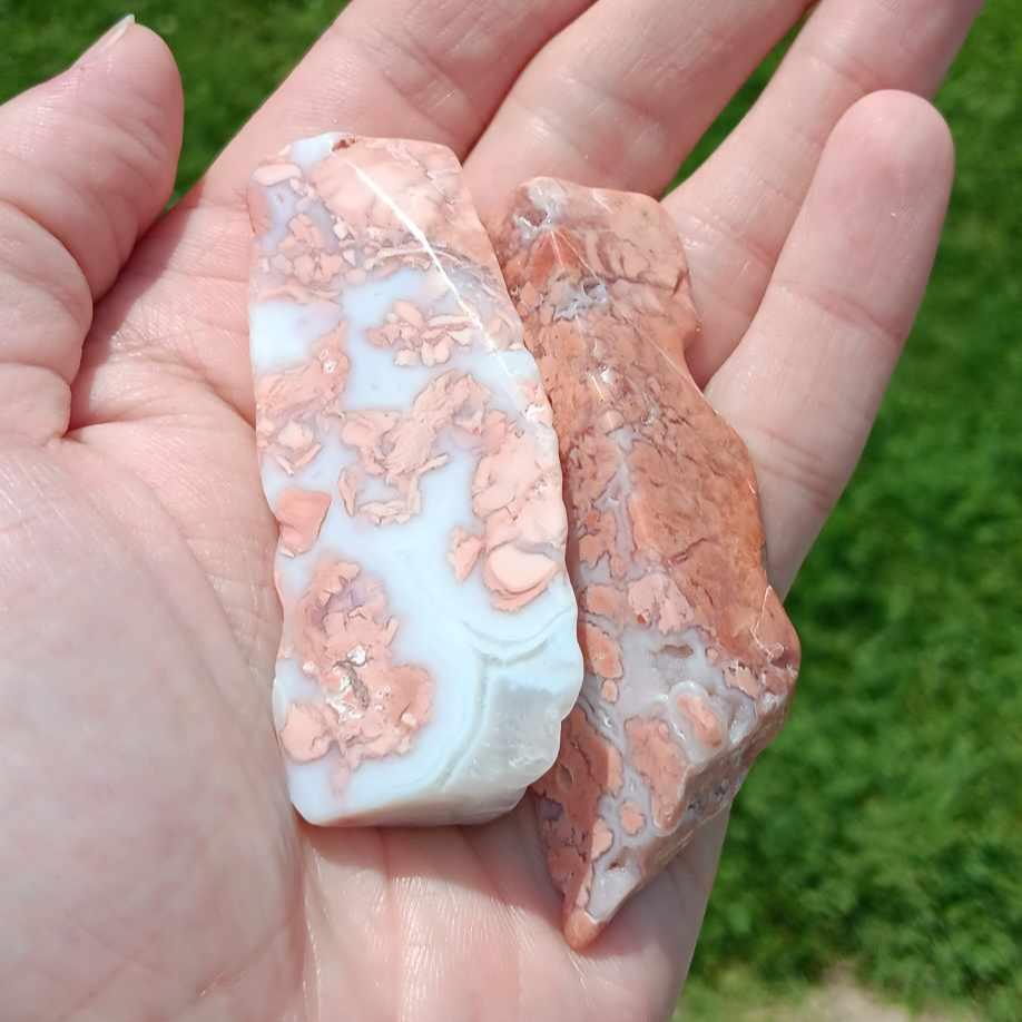 Polished Flower Agate Slabs x2