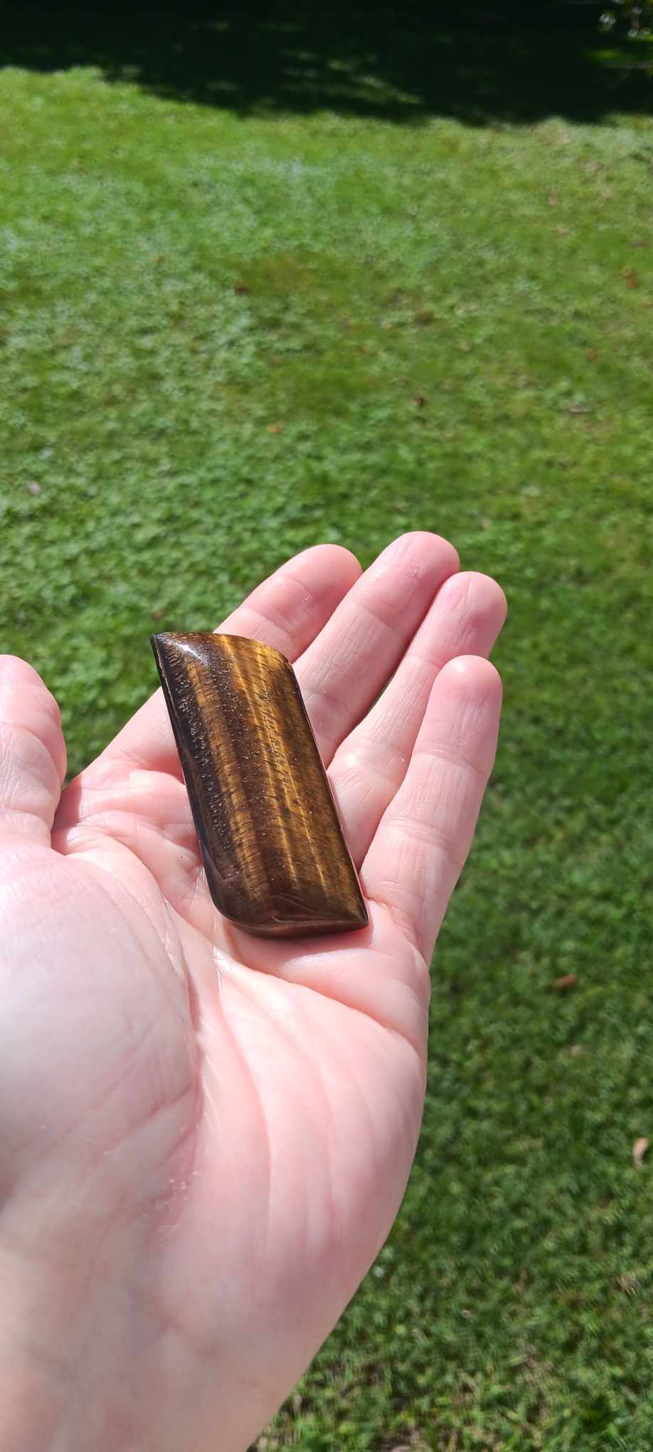 Tigers Eye Palm Stone 3 Inches