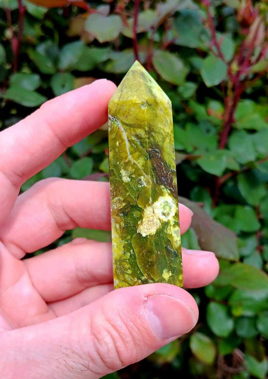 Brand New Obelisk: Serpentine 3 Inches