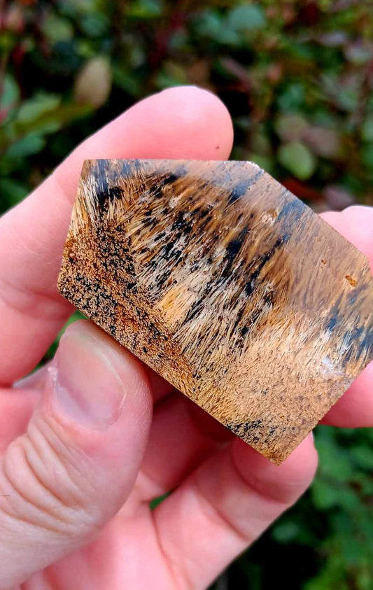 Carving/Freeform: Golden Rutilated Quartz Polished