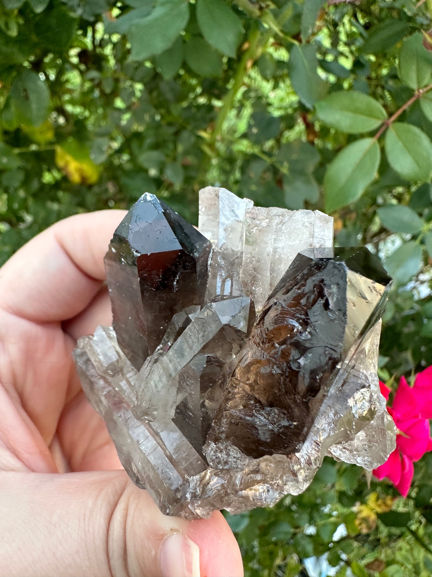 Smokey Quartz Cluster  182 Grams