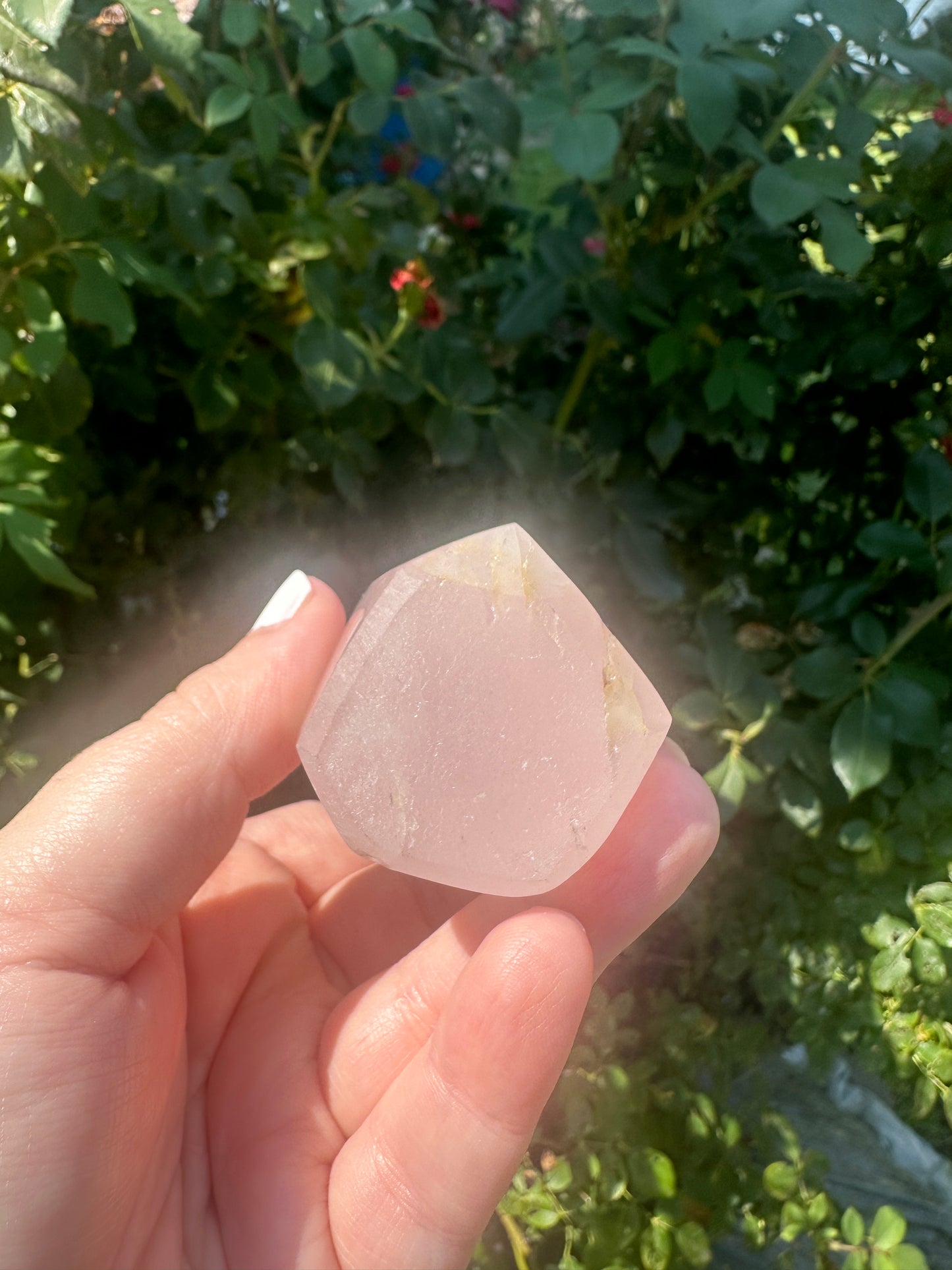 Obelisk: Large Rose Quartz 3 inches