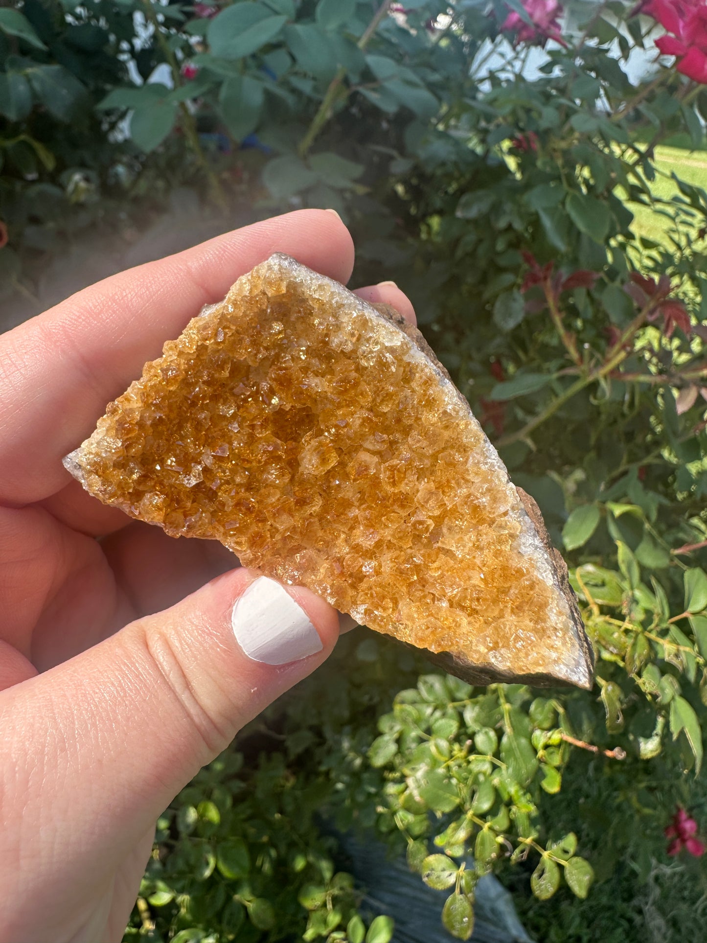 Brazilian Citrine "Pie Wedge" Cluster