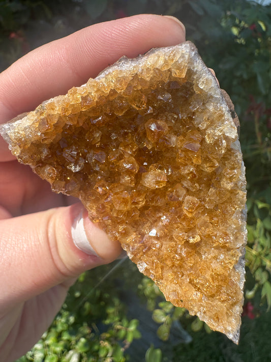 Brazilian Citrine "Pie Wedge" Cluster