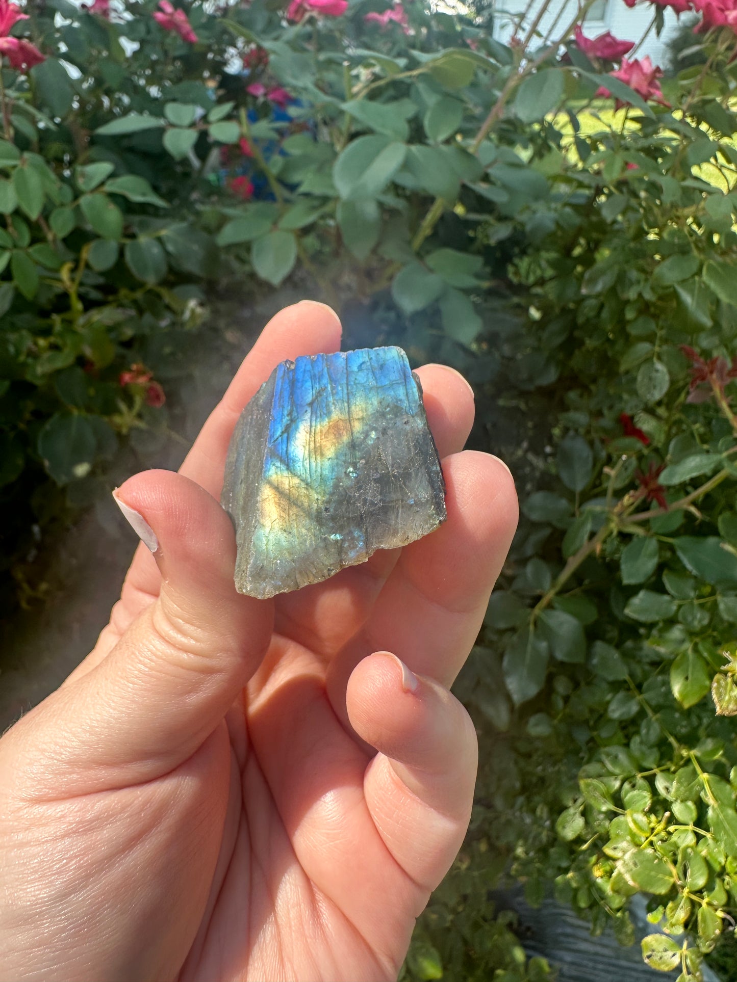 Blue Flash Labradorite Chunk