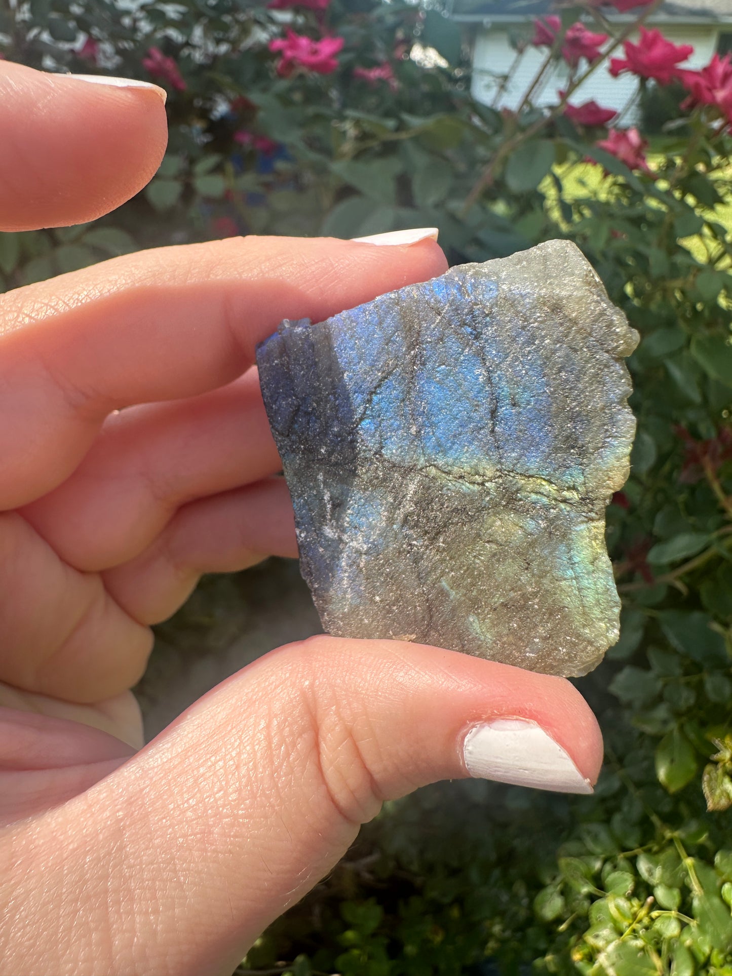 Blue Flash Labradorite Chunk