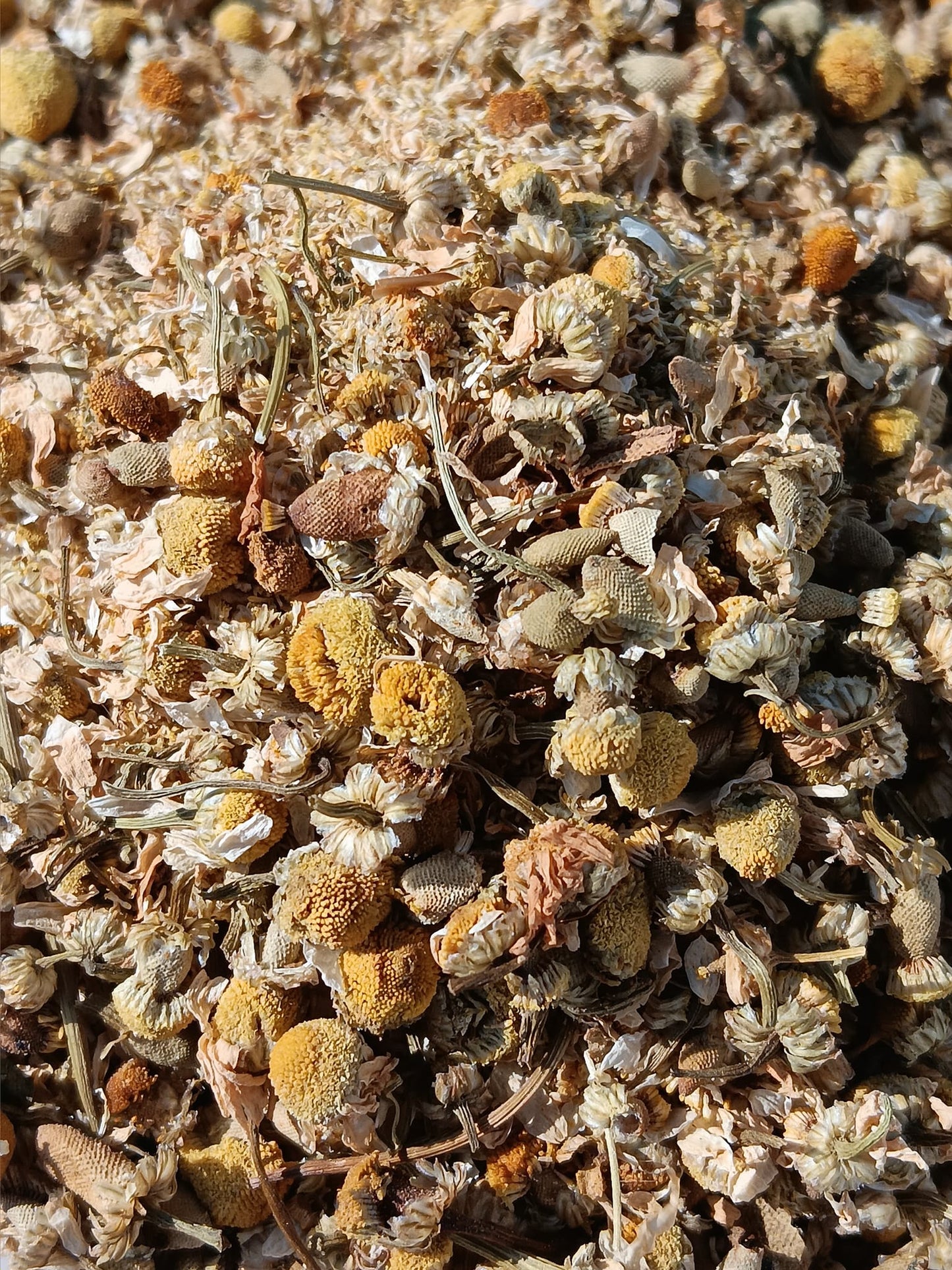 Chamomile Flowers Dried 1 Ounce Bags